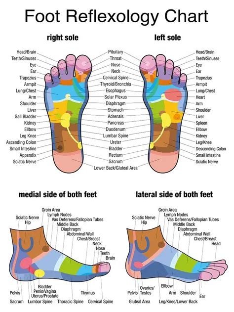 Foot Reflexology chart Reflexology foot chart, Reflexology chart