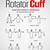 printable rotator cuff exercises pdf