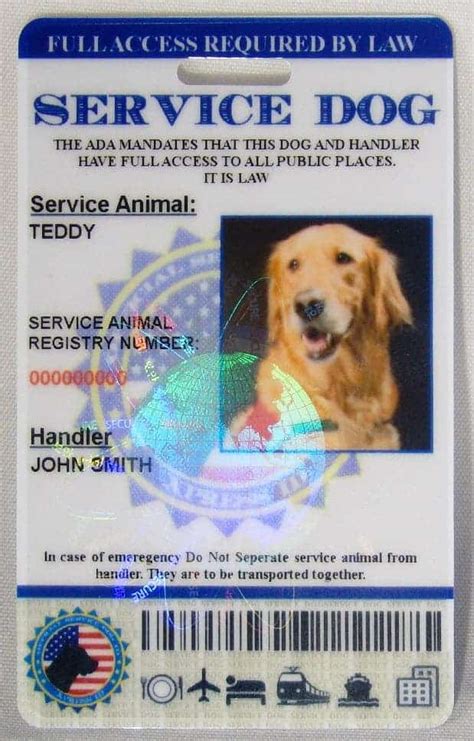 Printable Service Dog Id Card: Everything You Need To Know In 2023