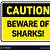 printable shark warning signs