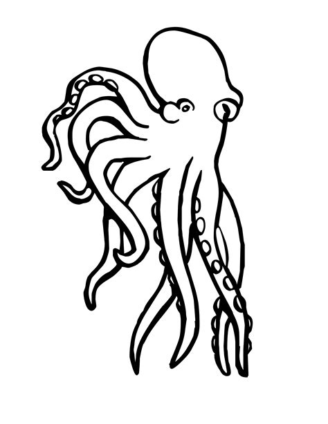Printable Squid Coloring Pages: A Fun Way To Unleash Your Creativity