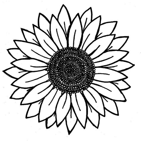 10 Best Free Printable Sunflower Patterns