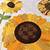 printable sunflower quilt pattern
