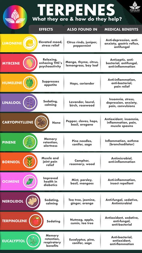 What is a Terpene Chart & How do I Read it? Terpene Chart With Visuals