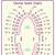 printable tooth surface chart