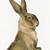 printable vintage bunny images