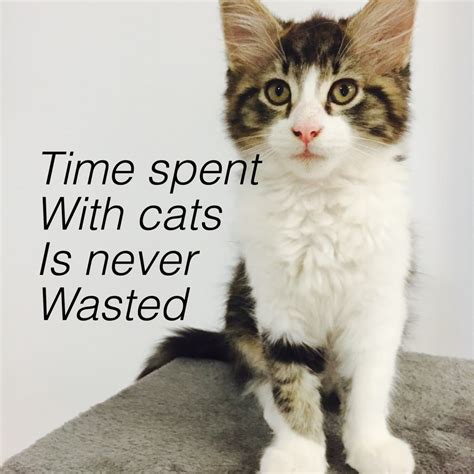 Printable Animals With Quotes