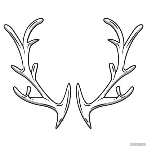 Creating A Printable Antler Mount Template: A Guide For Diy Enthusiasts