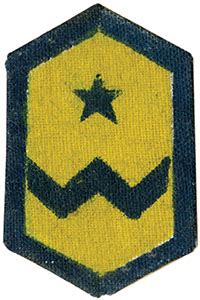 Printable Army Cavalry Wolfpack Insignia