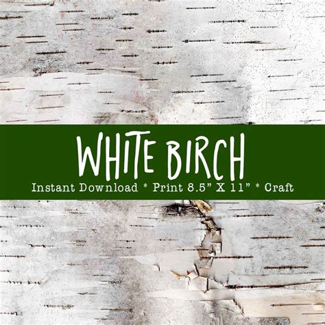 Printable Birch Bark Sheets