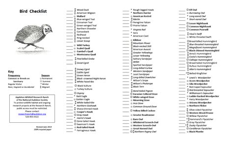 Printable Bird Checklist