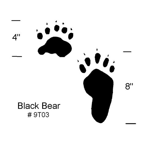 Printable Black Bear Tracks