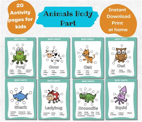 Printable Body Part Book