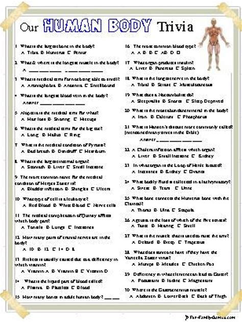 Printable Body System Trivia