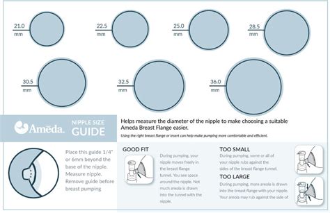 Printable Breast Flange Size