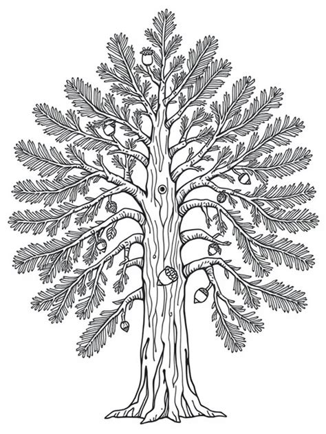 Printable Cedar Tree Patterns