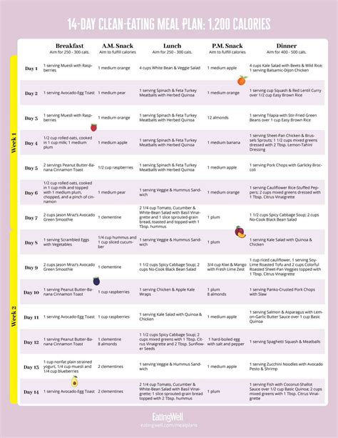 Printable Clean Program Example Week