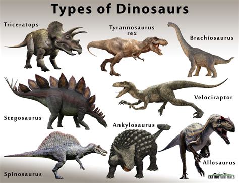 Printable Different Types Of Dinosaurs