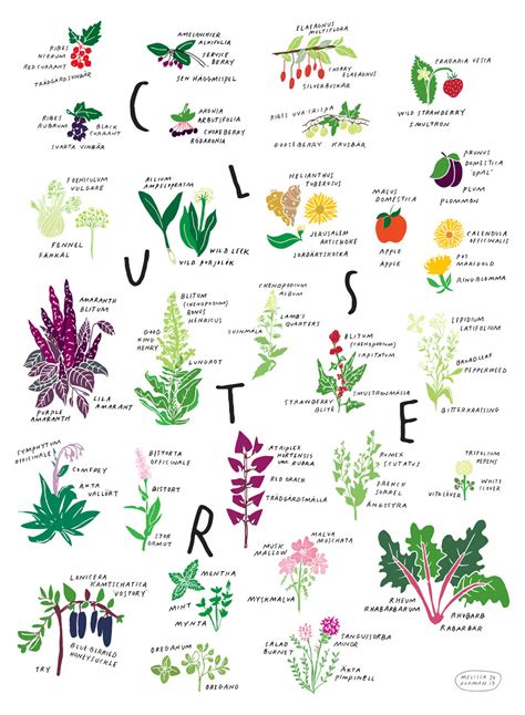 Printable Edible Plants Chart