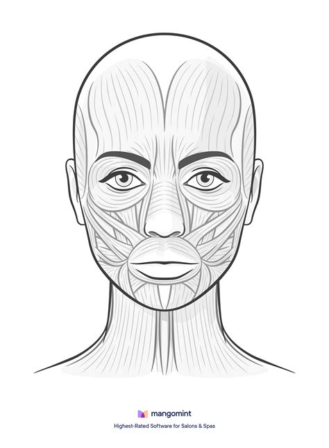 Printable Facial Chart For Fillers