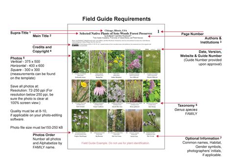 Printable Field Guide Template