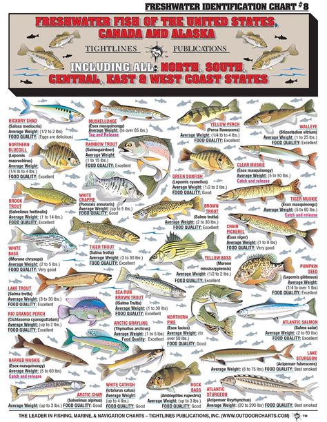 Printable Fish Identification Charts