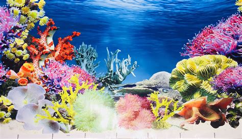 Printable Fish Tank Background 4K