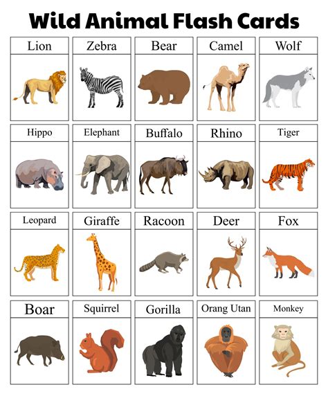 Printable Flash Cards Animals