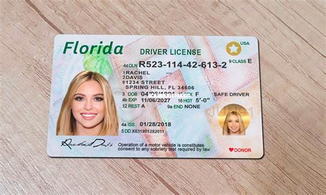 Printable Florida Driver Book