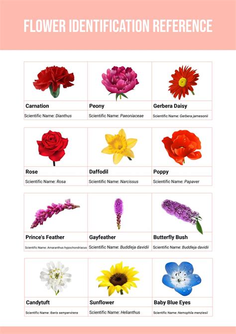 Printable Flower Identification Chart