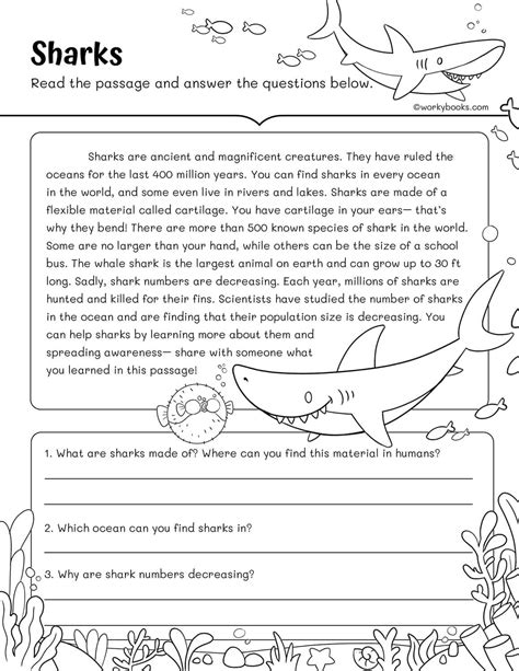 Printable Fluency Passages 3Rd Grade