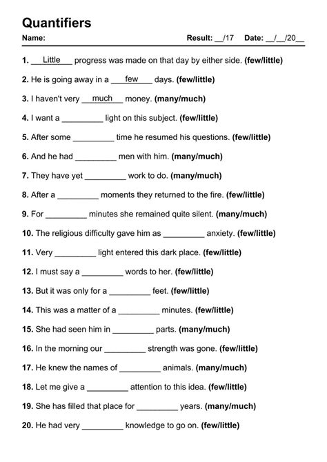 Printable Grammar Exercises On Quantifiers