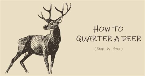 Printable Guide To Quarter A Deer