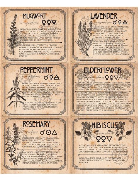 Printable Herb Labels For Witches