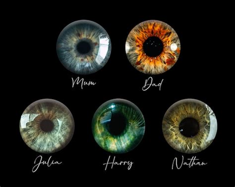 Printable Human Color Iris 12.1Mm