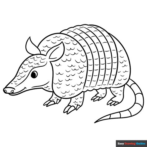 Printable Image Of Armadillo