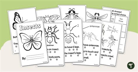 Printable Insect Book