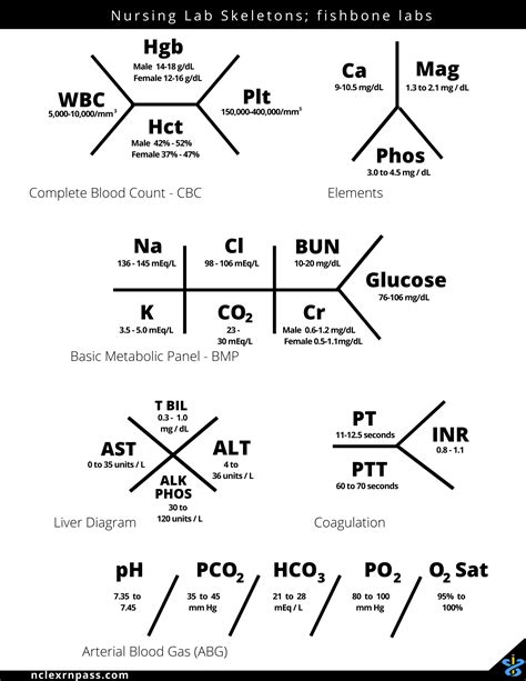 Printable Lab Value Skeleton Diagrams