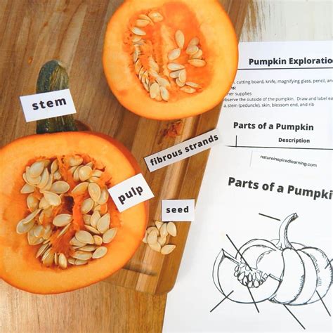 Printable Label A Pumpkin