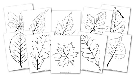 Printable Leaf Carving Pattern