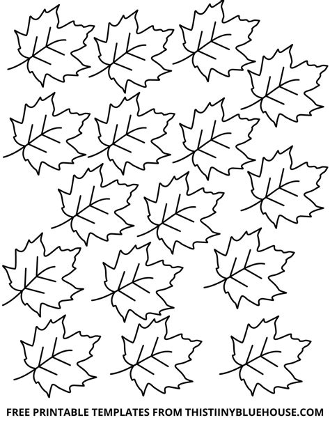 Printable Leaves Small Medium Large