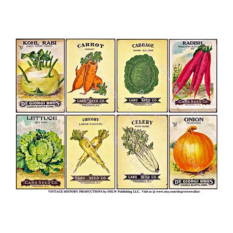 Printable Lettuce Seed Packets