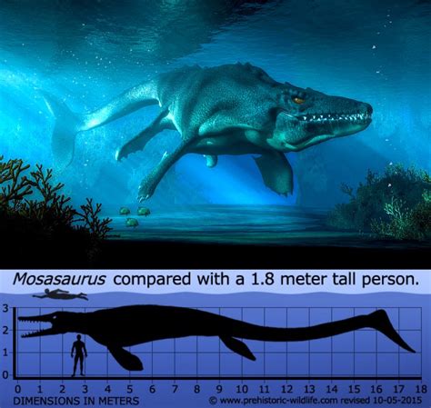 Printable Life Size Mosasaurus