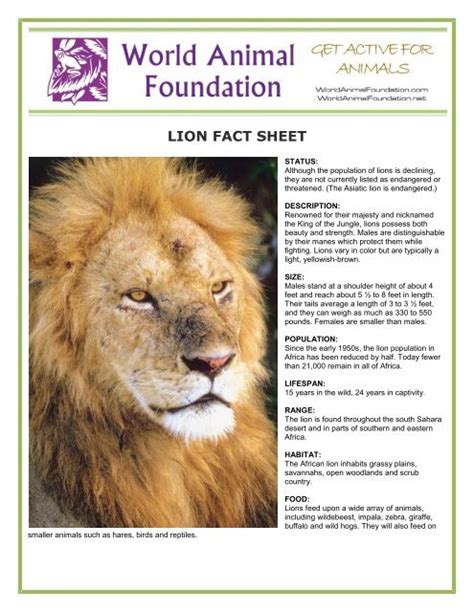 Printable Lion Fact Sheet