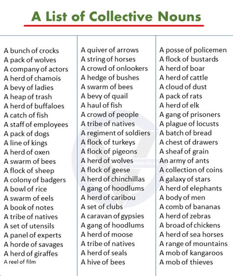 printable list of collective nouns words