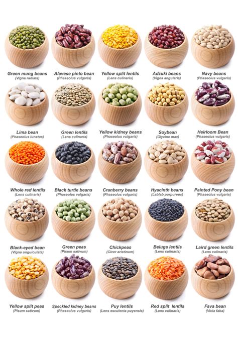 Printable List Of Legumes