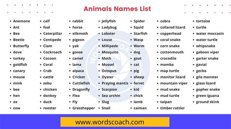 Printable List Of Names