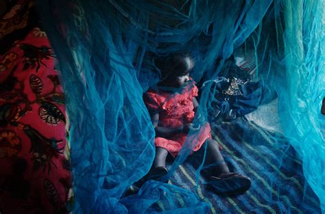 Printable Malaria Net Images