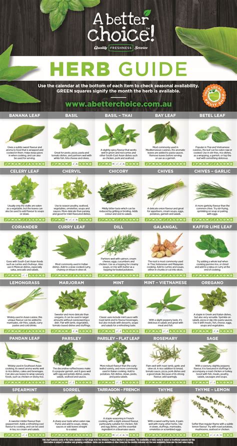 Printable Medicinal Plant Guide