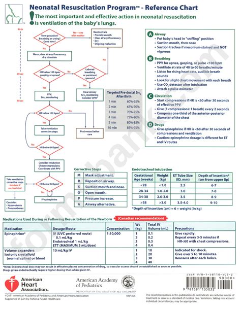 Printable Nrp Algorithm 2024